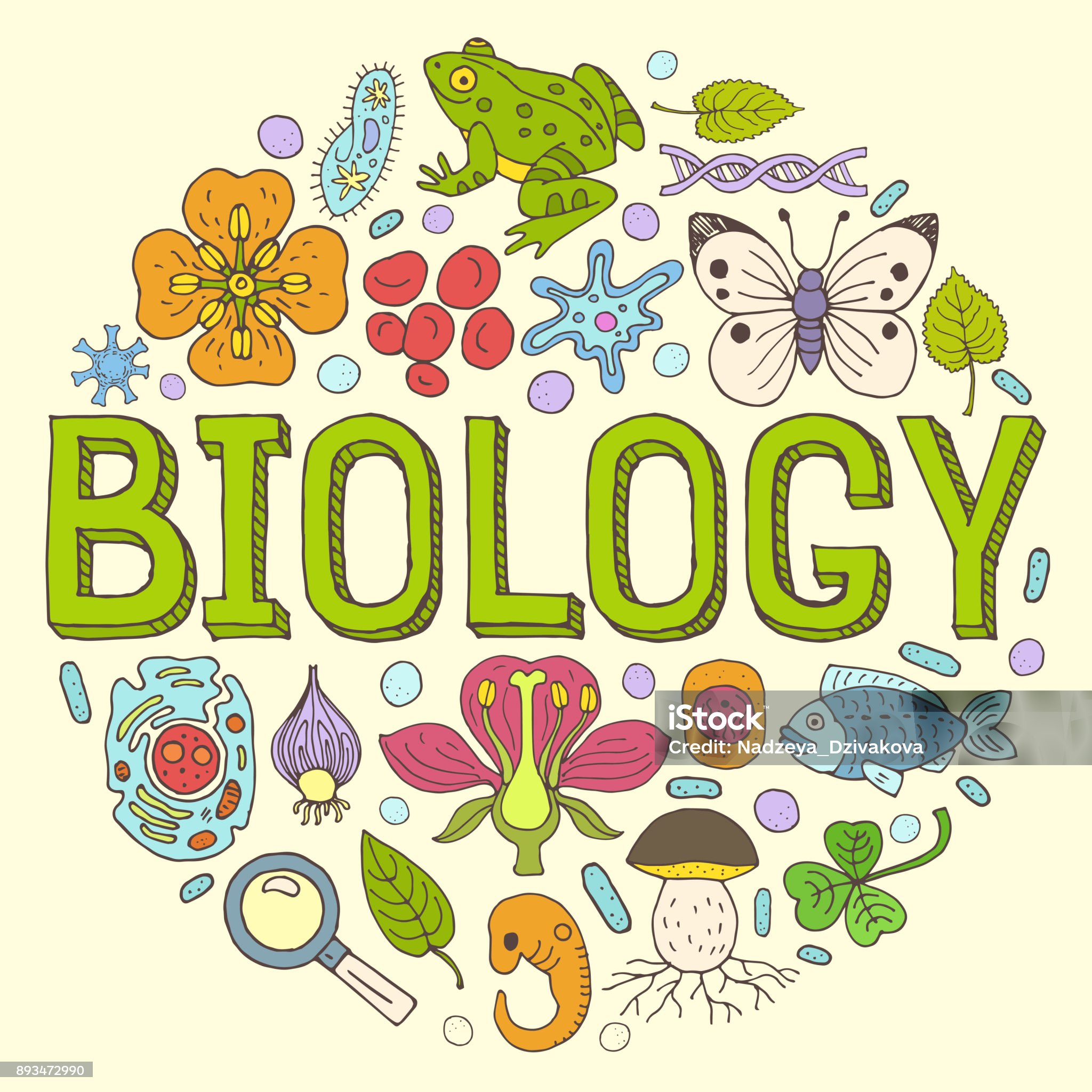 БИОЛОГИЯ РК 2025–2026