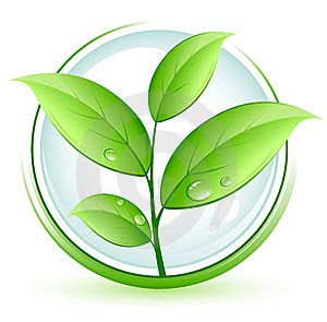 ҚР БИОЛОГИЯ 2025–2026